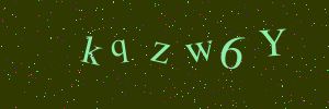 Validation image